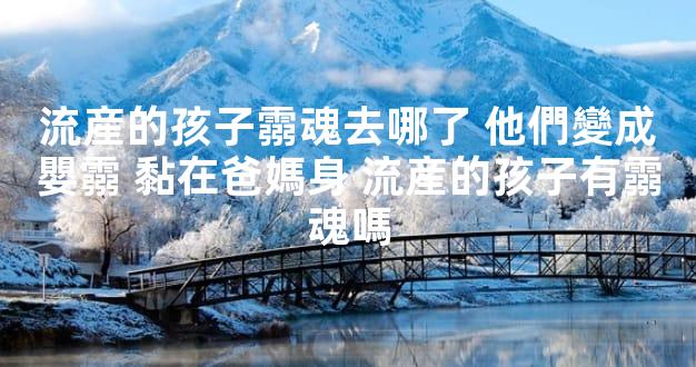 流産的孩子霛魂去哪了 他們變成嬰霛 黏在爸媽身 流産的孩子有霛魂嗎